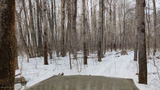VID_20240309_125157 смотреть онлайн