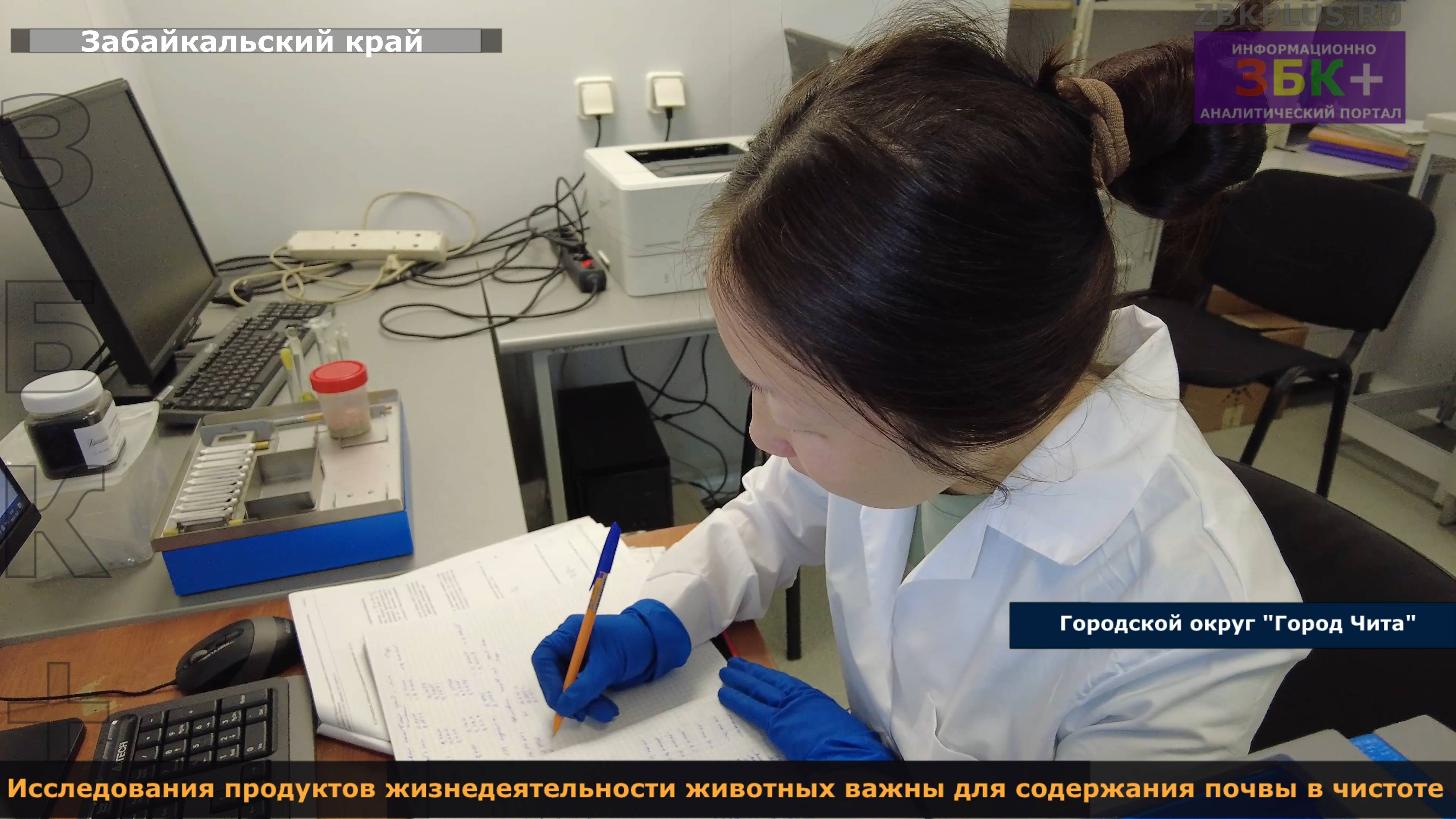 ЗБК + Исследования продуктов жизнедеятельности животных важны для содержания почвы в чистоте смотреть онлайн