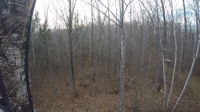 Wisconsin 2021 rifle season whitetail buck. Marlin 30/30 lever rifle. смотреть онлайн