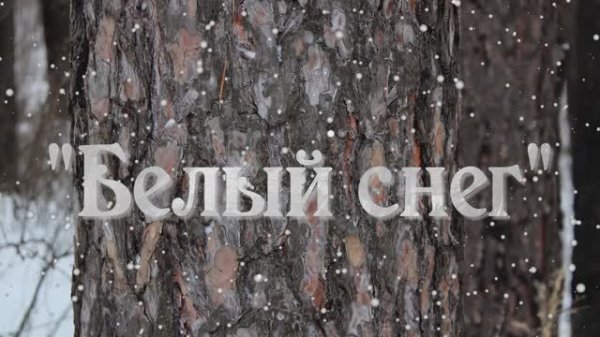 "Белый снег"