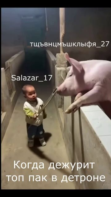 🤣Детрон - Ваш нахрюк заблокирован  #lineage2 #ruoff #л2 #l2 #руфус #pyqpyc #руофф