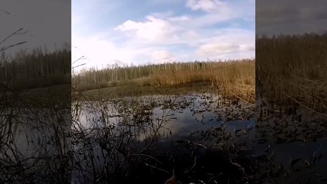 Утиная Охота смотреть онлайн