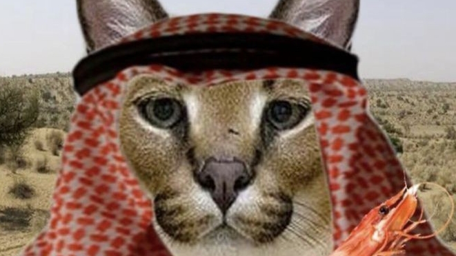 SUPER GD, KOTIK GD T.....O......N.....6.9.6