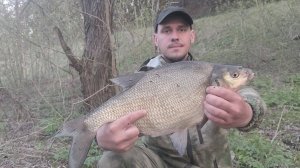 Трофейные лещи на боковой кивок в мае