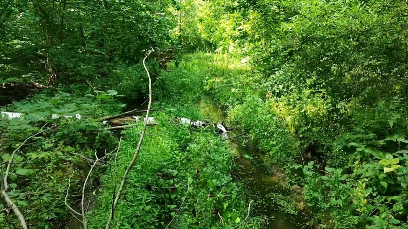 Самая длинная дорога на коп!Почти пять часов добирался до места! смотреть онлайн