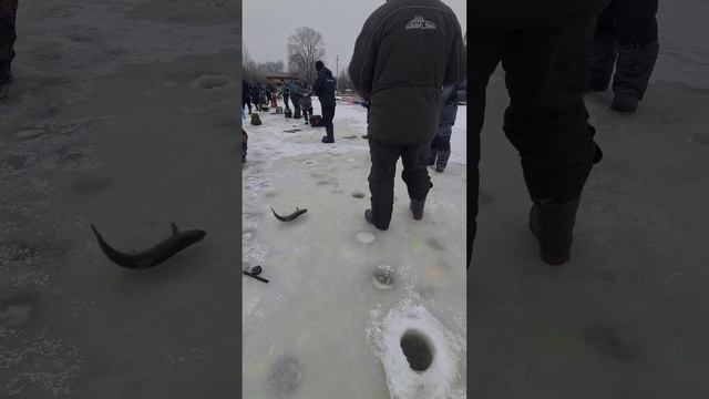 Видеообзор с водоёма смотреть онлайн