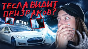 ИЩУ ПРИЗРАКОВ НА КЛАДБИЩЕ / Реально ли Тесла видит приведений?