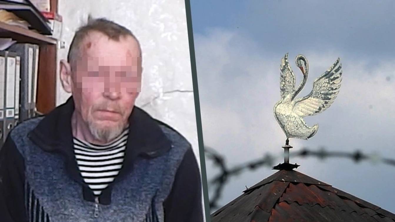 Пять лет в "Белом лебеде" или как из безвинного пенсионера Льва Каменских сделали убийцу... смотреть онлайн