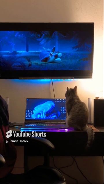 Семейный просмотр мультфильма 😊 #shorts смотреть онлайн