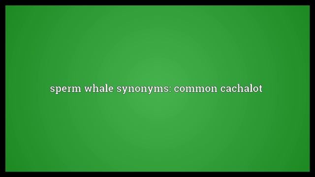 Sperm whale Meaning смотреть онлайн
