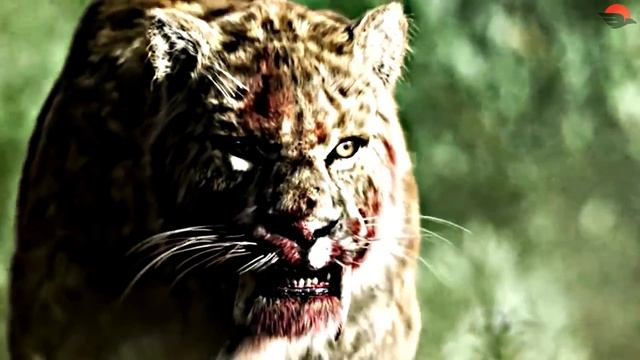 Lion vs Saber-Toothed Tiger - कौन जीतेगा? смотреть онлайн