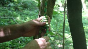 Узел прусика и нюансы (схватывающий узел) / Prusik knot and nuances