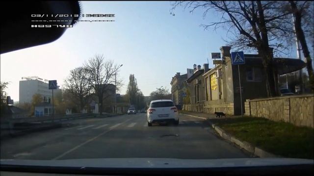 Собака и пешеходный переход / Dog Uses Crosswalk смотреть онлайн