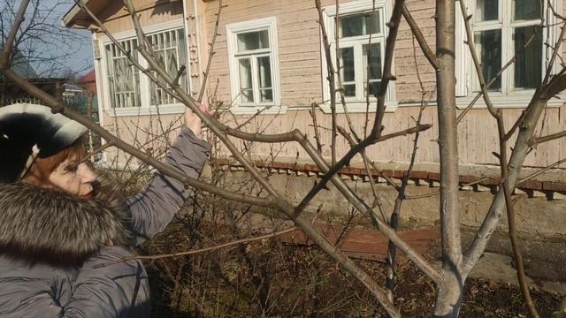 Угол отхождения, угол расхождения веток, угол наклона веток смотреть онлайн