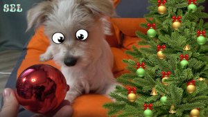 Влог Украшаем ДОМ к Новому году НАРЯЖАЕМ ЁЛКУ Волшебные питомцы Софи