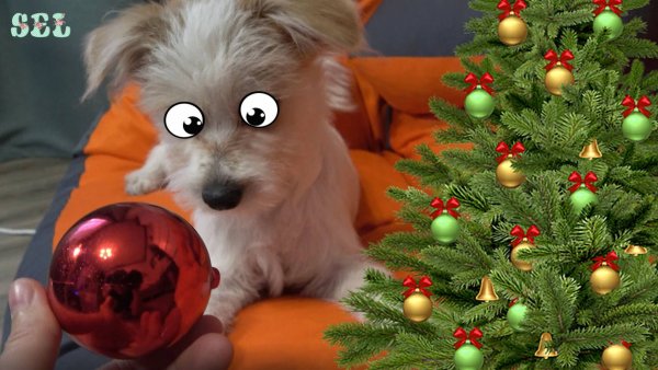 Влог Украшаем ДОМ к Новому году НАРЯЖАЕМ ЁЛКУ Волшебные питомцы Софи