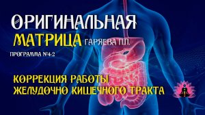 Коррекция работы желудочно кишечного тракта» Программа №4-2 ⚠️ Оригинальная матрица ☀️ SoftRadio.ru