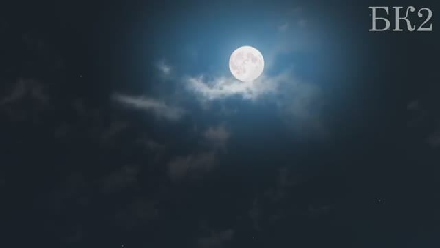 Ты не один смотреть онлайн