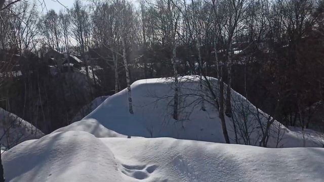 Дачные коты #39 смотреть онлайн