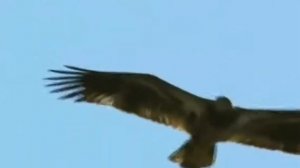 Гимн Ингушетии