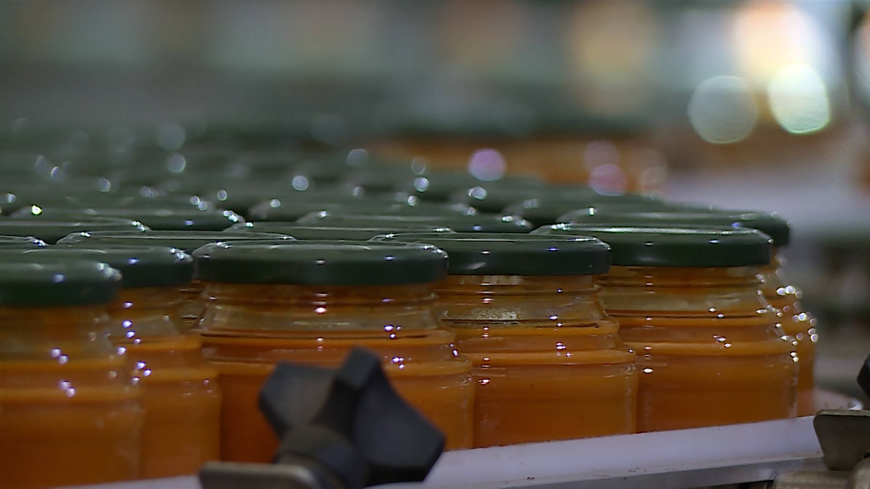 Студентам Георгиевского колледжа провели тур по заводу смотреть онлайн