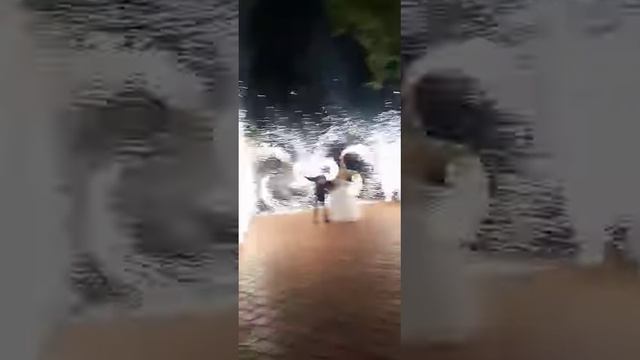 Пиротехническое шоу