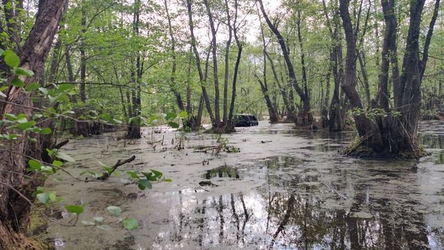 VID_20240518_161535 смотреть онлайн