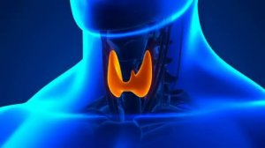 ГИПОТИРЕОЗ*КВАНТЫ ДЛЯ ЩИТОВИДНОЙ ЖЕЛЕЗЫ С ГЛУБОКИМ ТЕТА РИТМОМ