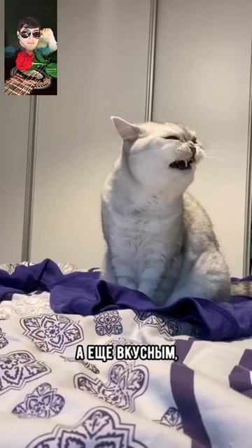 Факт о животных