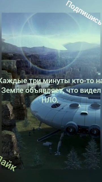 #shorts #interestingfacts #funny #популярное #рекомендации #интересныефакты #комнатныерастения смотреть онлайн
