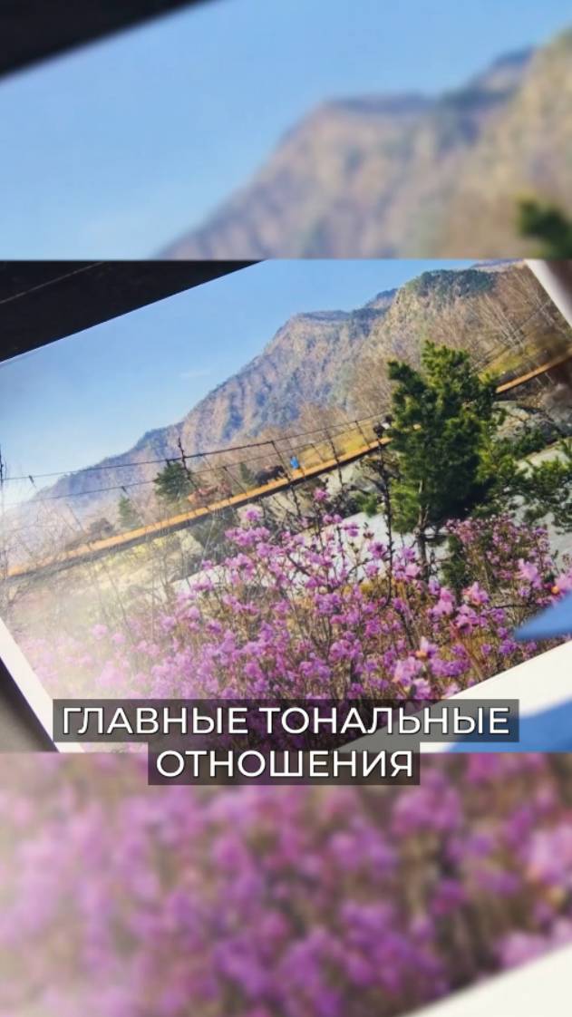 Как определить главные тональные отношения в пейзаже? Лайфхак художника Ольги Гусевой смотреть онлайн