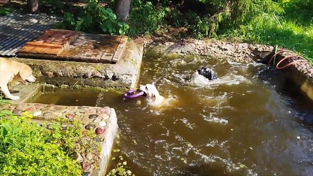 27 июля 2022 г. смотреть онлайн