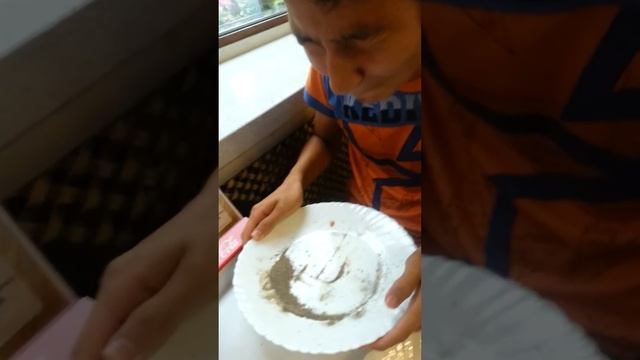 Квак Илья любит перец смотреть онлайн