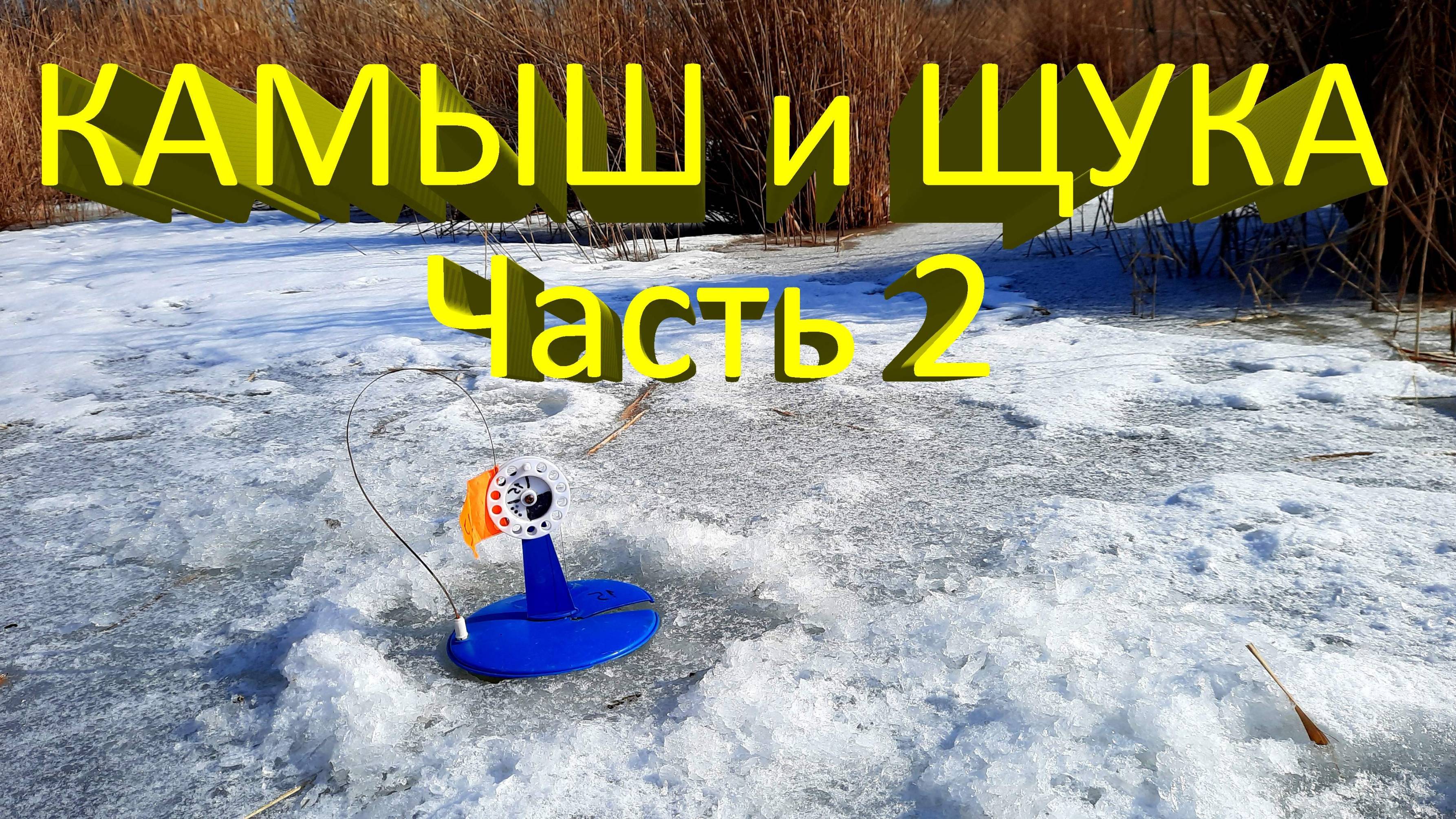 🔥 Поставил ЖЕРЛИЦЫ под КАМЫШ (часть 2). Попал на выход щуки. Успешная рыбалка в глухозимье 🔥