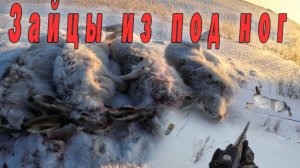 Зайцев больше чем мышей. Супер охота