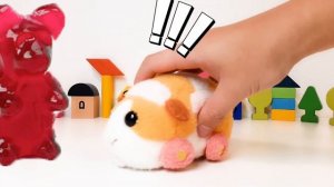 PUI PUI Molcar and Giant Gummy Bear / PUI PUI モルカー /天竺鼠車車與超大小熊軟糖/ Guinea Pig Car