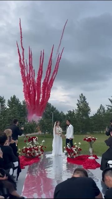 Дневной красный