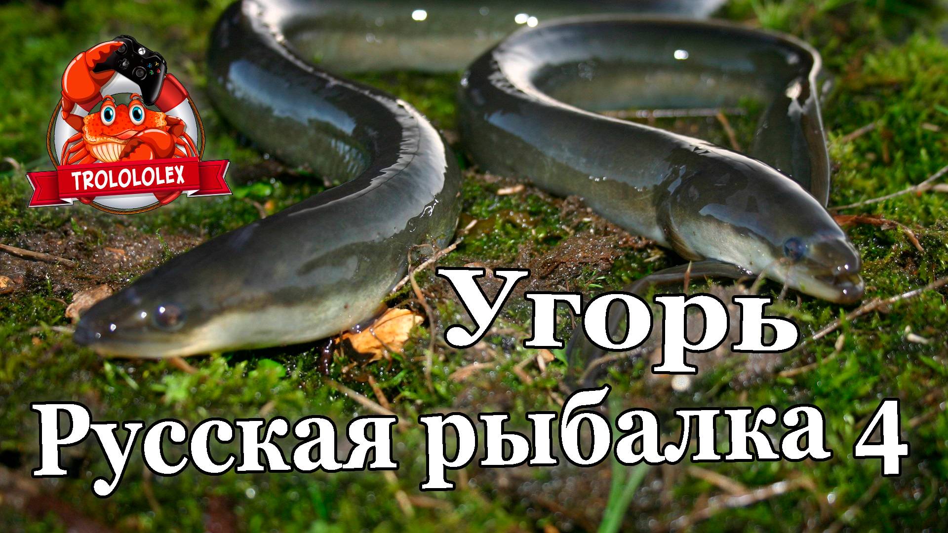 Русская рыбалка 4.Угорь на старом остроге смотреть онлайн