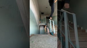 Ловим голубей в подъезде #голуби