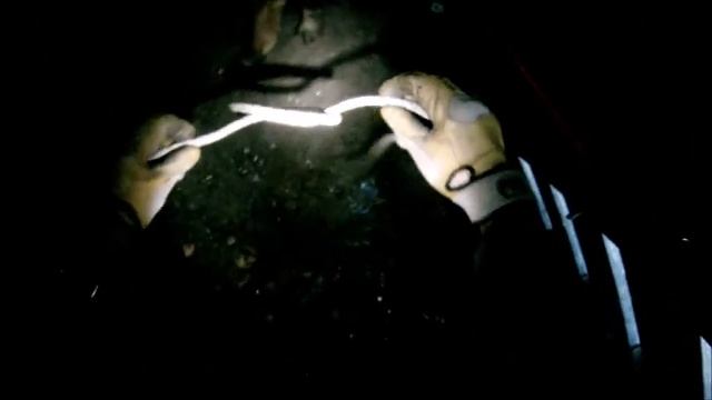 Animal Rescue Serbia - Spasavanje psa / Dog rescue смотреть онлайн