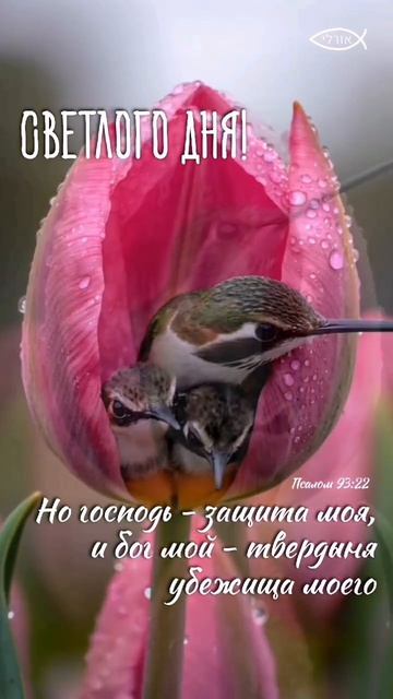 VID-20250209-WA0001.mp4