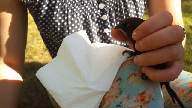 СТРИЖ в гостях смотреть онлайн