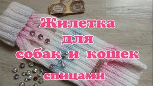 Жилетка спицами для собак и кошек