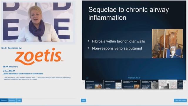 eBEVA Webinar: Celia Marr - Lower Respiratory tract disease in adult horses смотреть онлайн