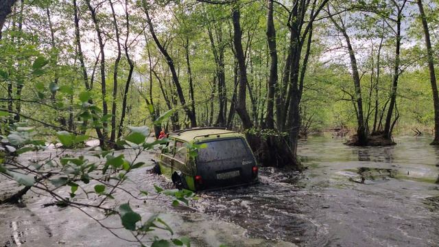 VID_20240518_155422 смотреть онлайн