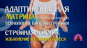 Избавление от лишнего веса  🎶 программа матрица по технологии Гаряева П.П ☀️ SoftRadio.ru