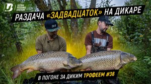 Огромные карпы на водохранилище. Ловля дикого карпа. В погоне за диким трофеем #36.