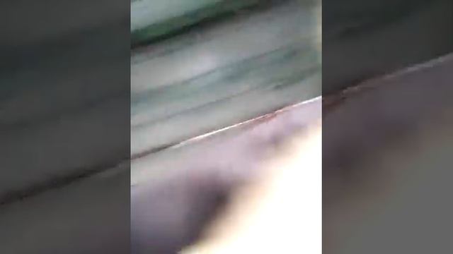 Куропатка в тюрьме? чё ха фигня?! смотреть онлайн