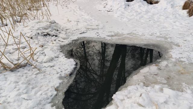 VID_20240309_085109 смотреть онлайн