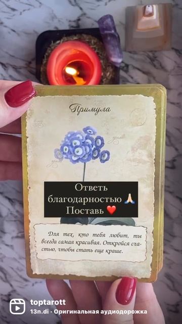 #таро #топ #эзотерика #гороскоп #расклад #гадание #рек #карнавал #карты #расклады смотреть онлайн